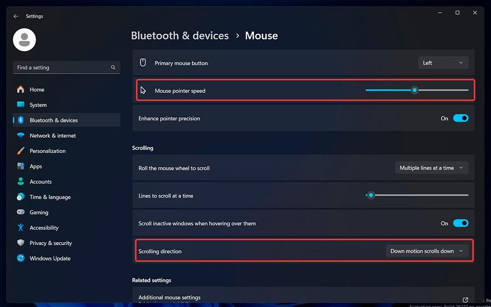 Options de configuration de la souris dans Windows 11