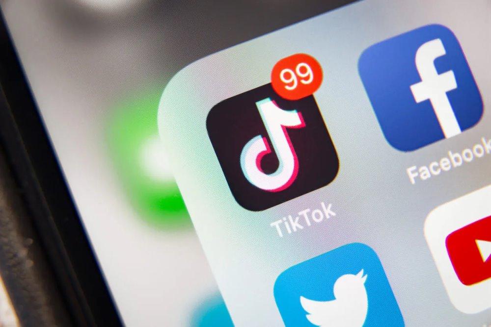 données collectées réseau social tiktok