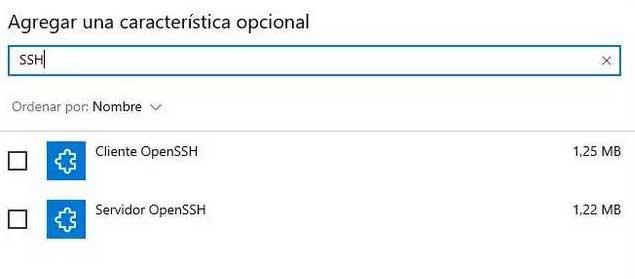 Windows SSH