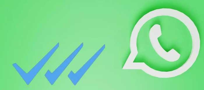 Tics WhatsApp bleus