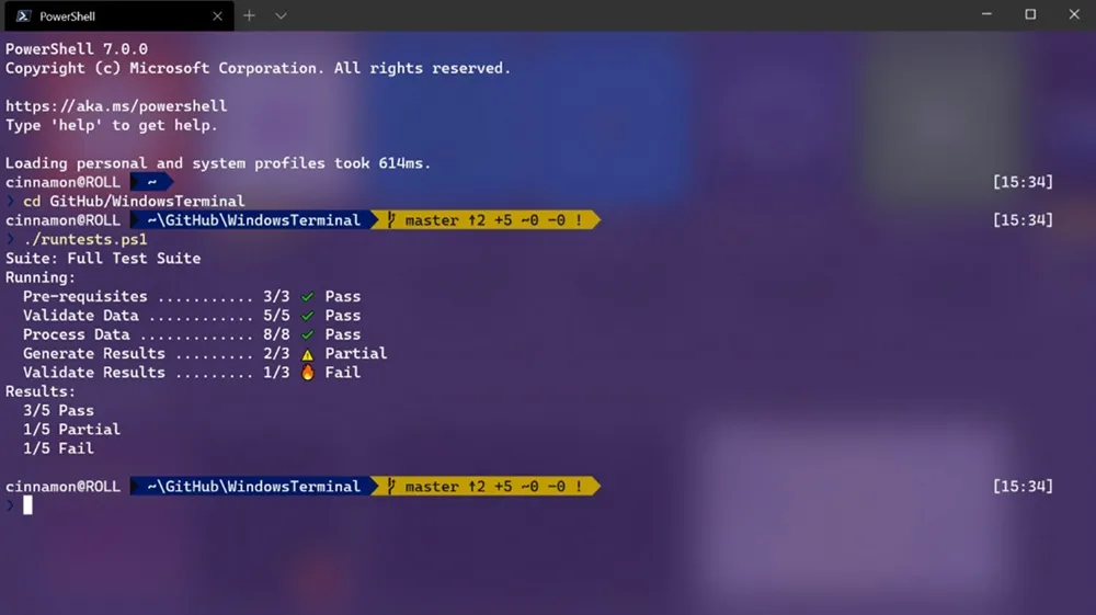 Interface du terminal Windows