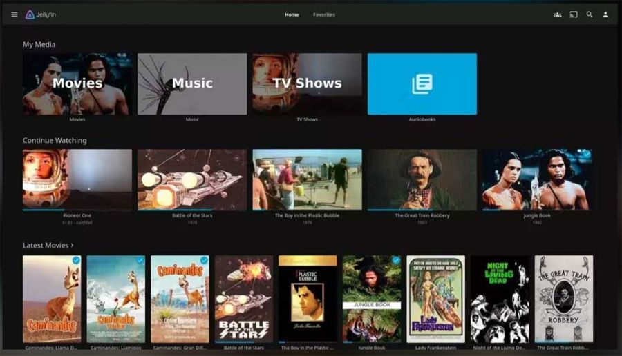 interface du film Jellyfin