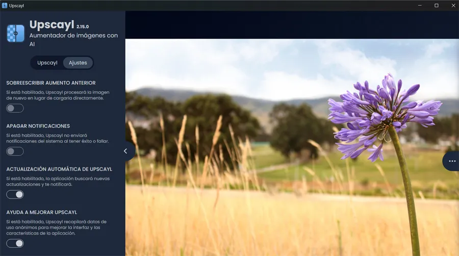 Interface principale du programme Upscayl