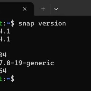 comment vous protéger de cette grave vulnérabilité Ubuntu