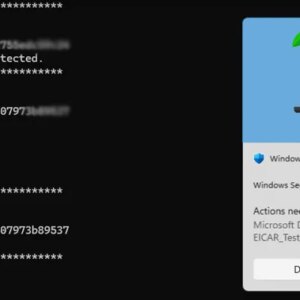 Attention, ce nouveau malware bloque les mises à jour de Windows Defender et met votre PC en danger