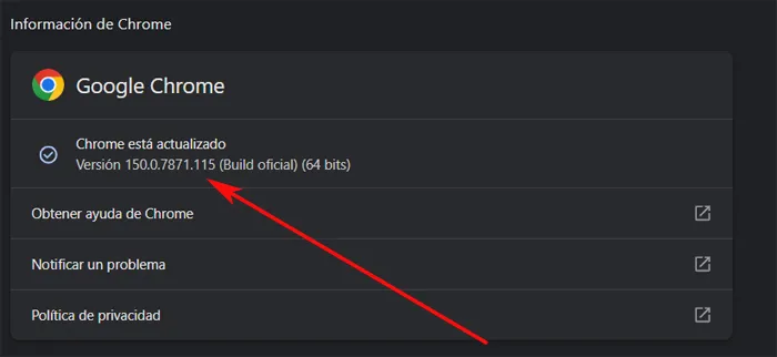 Fenêtre des versions de Google Chrome.