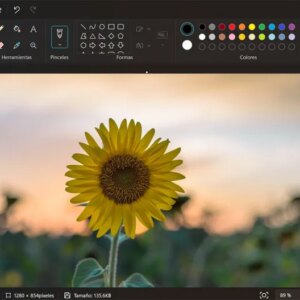 C'est le moyen le plus simple de supprimer l'arrière-plan de vos images sous Windows sans rien installer