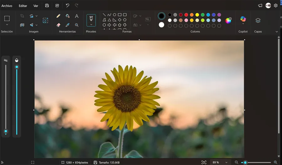 Peignez l’image avec l’arrière-plan dans Windows.