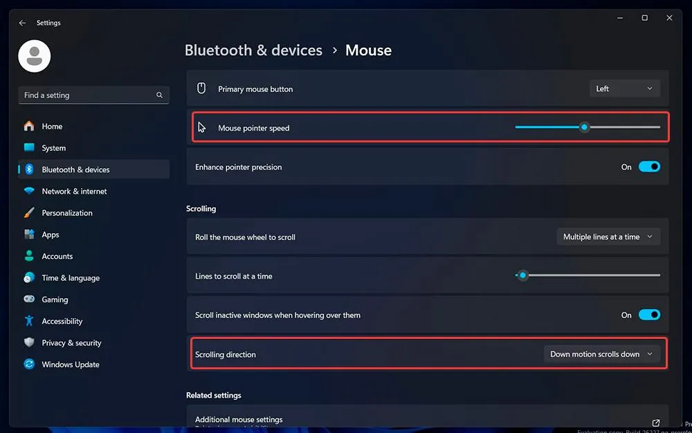Options de configuration de la souris dans Windows 11
