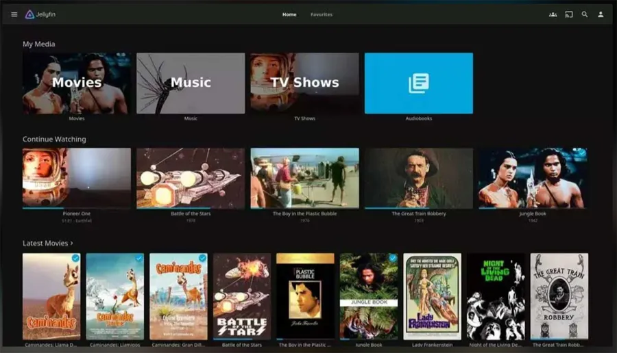 interface du film Jellyfin
