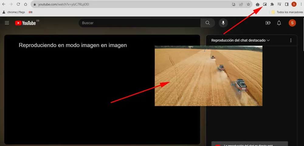 pip chrome youtube