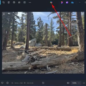 Microsoft nettoie l'application Windows 11 Photos : adieu à Copilot et maintenant elle se charge deux fois plus vite