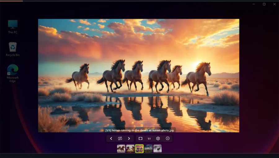 Interface de visualisation FlyPhotos.